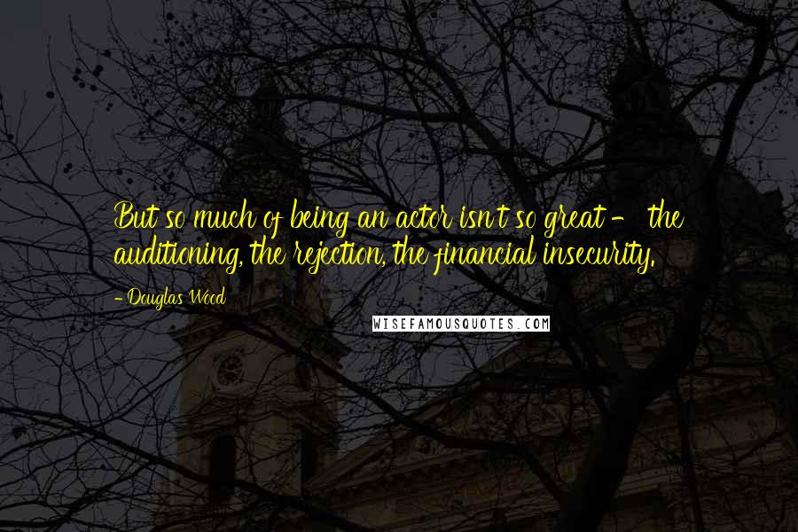 Douglas Wood Quotes: But so much of being an actor isn't so great - the auditioning, the rejection, the financial insecurity.