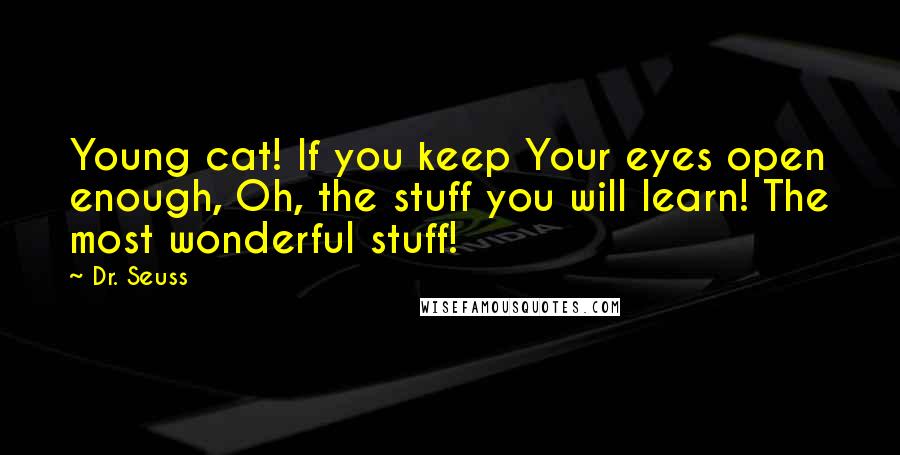 Dr. Seuss Quotes: Young cat! If you keep Your eyes open enough, Oh, the stuff you will learn! The most wonderful stuff!