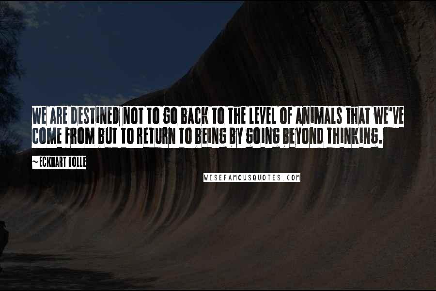 Eckhart Tolle Quotes: We are destined not to go back to the level of animals that we've come from but to return to being by going beyond thinking.