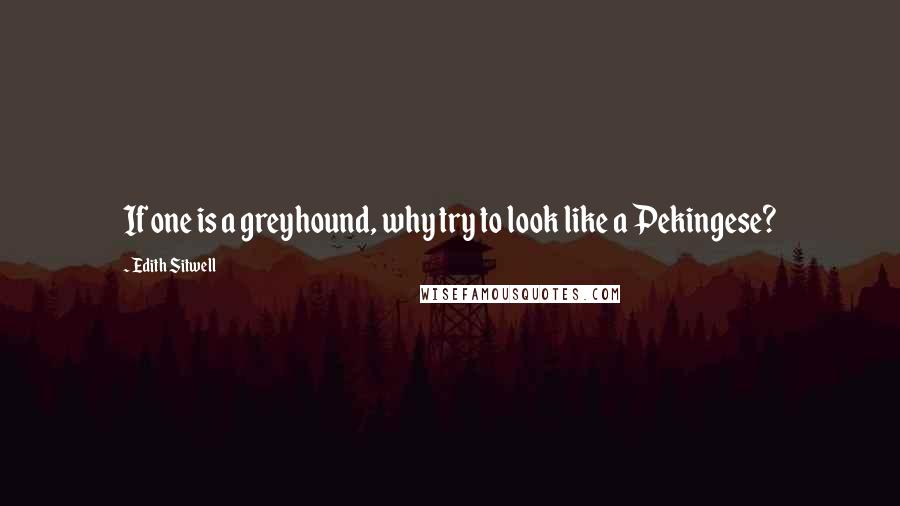 Edith Sitwell Quotes: If one is a greyhound, why try to look like a Pekingese?