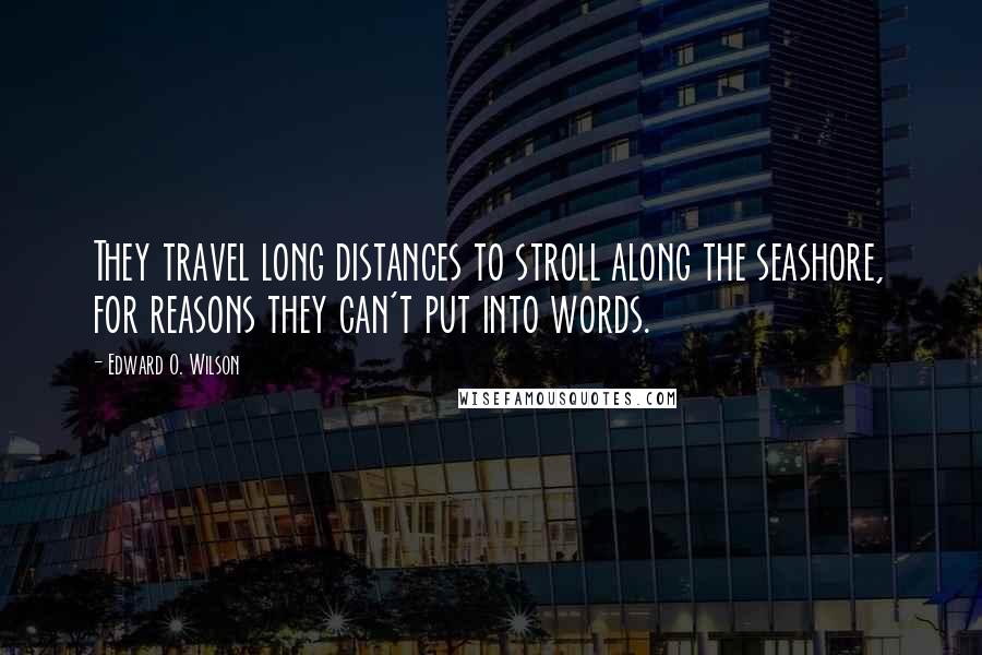 Edward O. Wilson Quotes: They travel long distances to stroll along the seashore, for reasons they can't put into words.