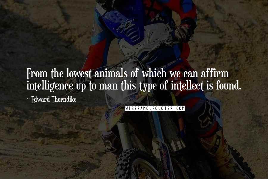 Edward Thorndike Quotes: From the lowest animals of which we can affirm intelligence up to man this type of intellect is found.