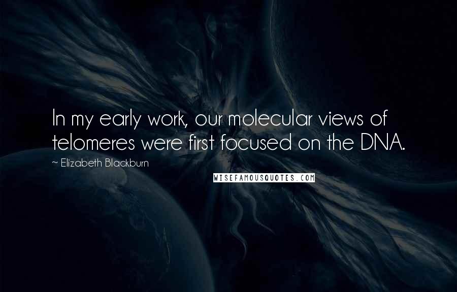 Elizabeth Blackburn Quotes: In my early work, our molecular views of telomeres were first focused on the DNA.