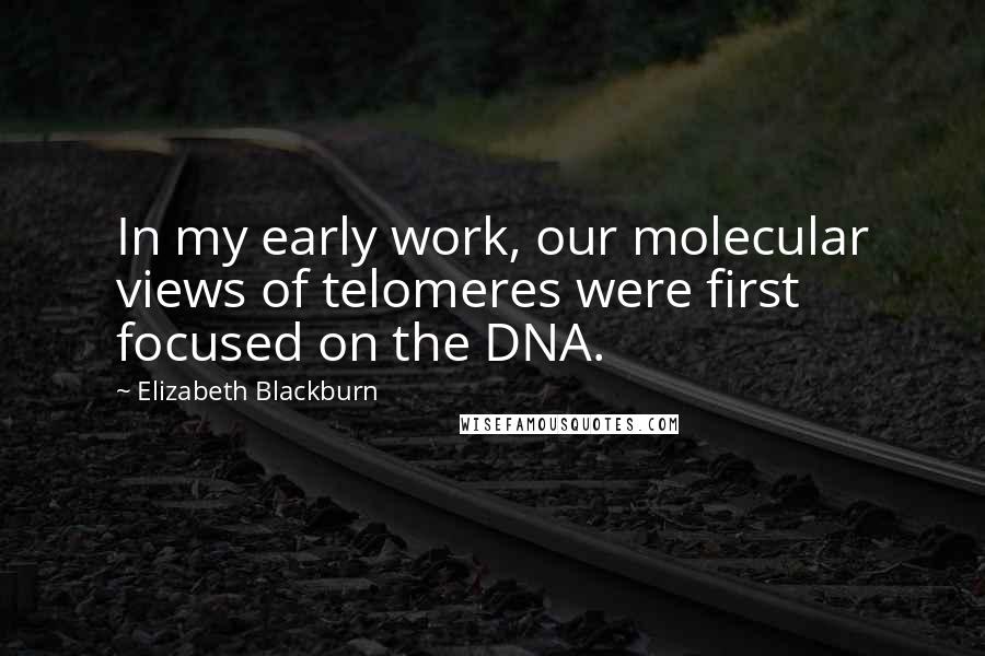 Elizabeth Blackburn Quotes: In my early work, our molecular views of telomeres were first focused on the DNA.