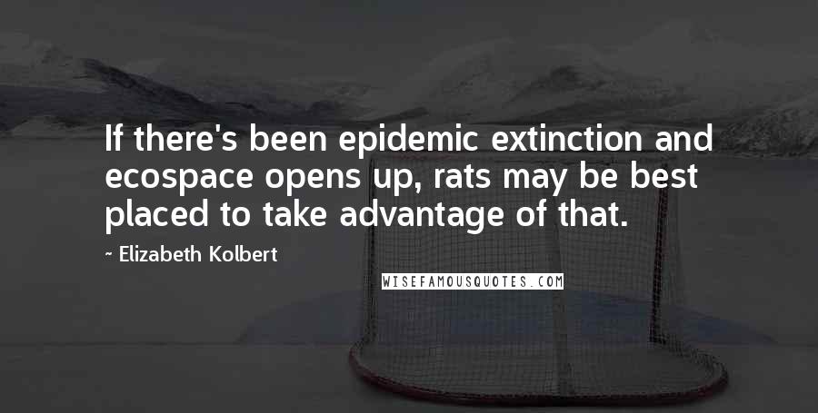 Elizabeth Kolbert Quotes: If there's been epidemic extinction and ecospace opens up, rats may be best placed to take advantage of that.