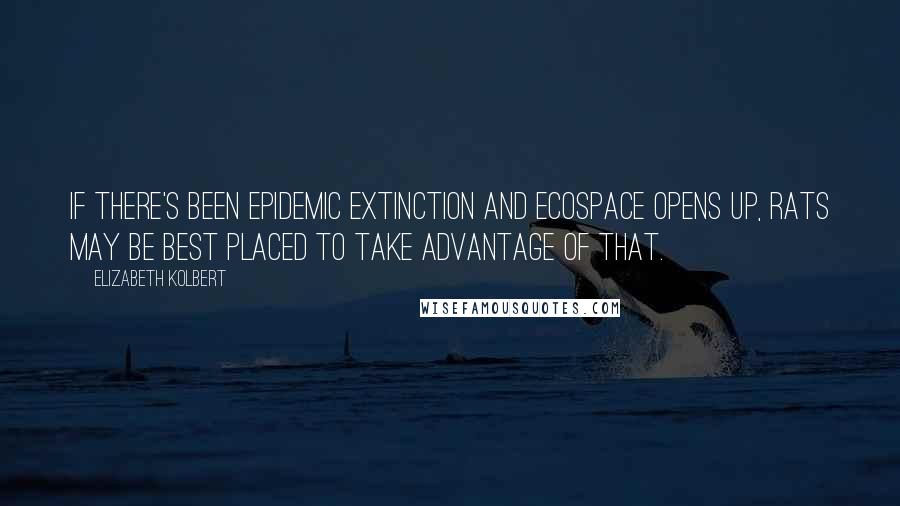 Elizabeth Kolbert Quotes: If there's been epidemic extinction and ecospace opens up, rats may be best placed to take advantage of that.