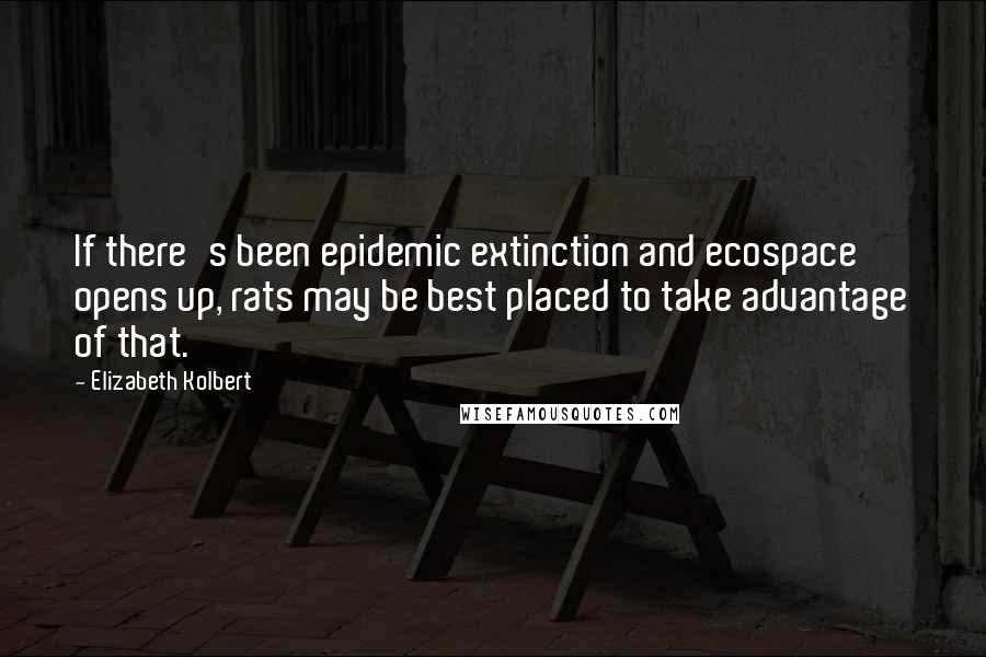 Elizabeth Kolbert Quotes: If there's been epidemic extinction and ecospace opens up, rats may be best placed to take advantage of that.