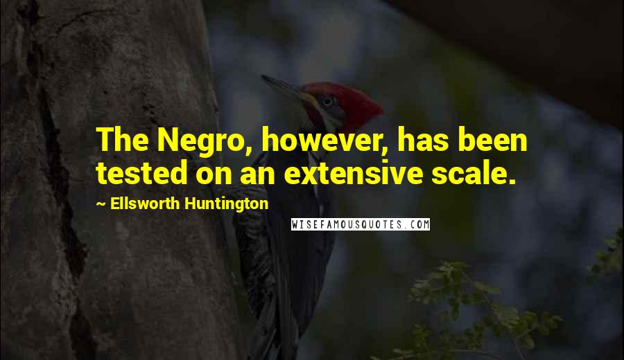 Ellsworth Huntington Quotes: The Negro, however, has been tested on an extensive scale.