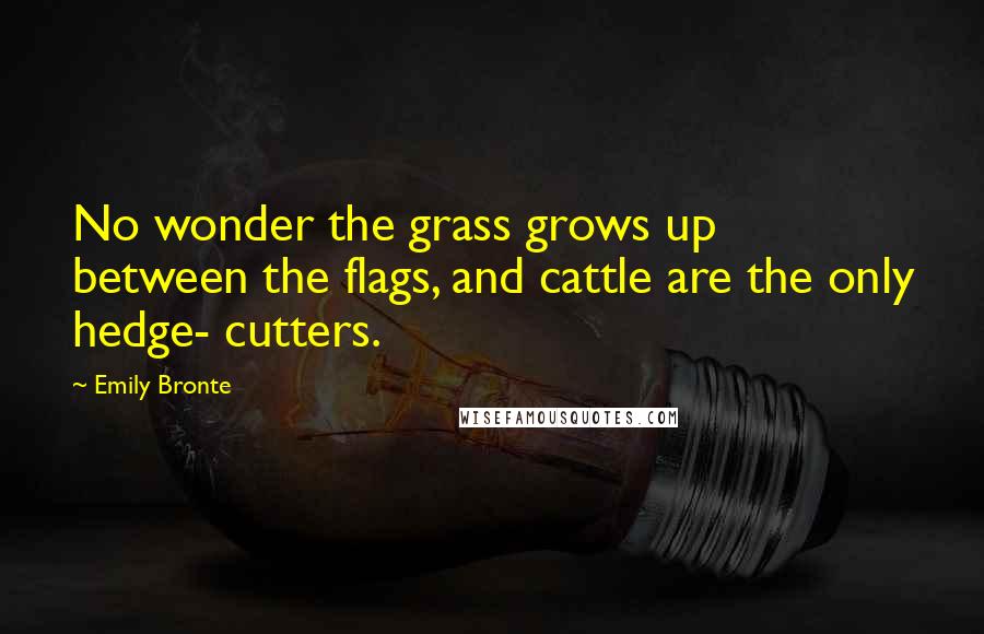 Emily Bronte Quotes: No wonder the grass grows up between the flags, and cattle are the only hedge- cutters.