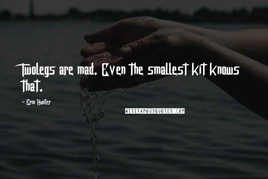 Erin Hunter Quotes: Twolegs are mad. Even the smallest kit knows that.