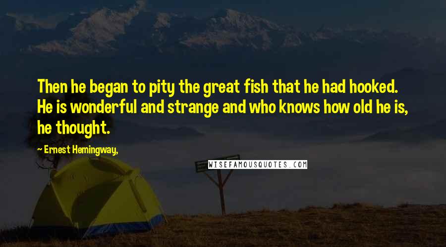 Ernest Hemingway, Quotes: Then he began to pity the great fish that he had hooked. He is wonderful and strange and who knows how old he is, he thought.