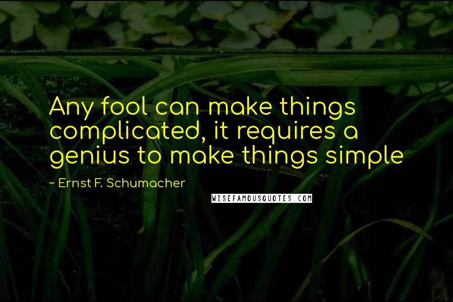 Ernst F. Schumacher Quotes: Any fool can make things complicated, it requires a genius to make things simple