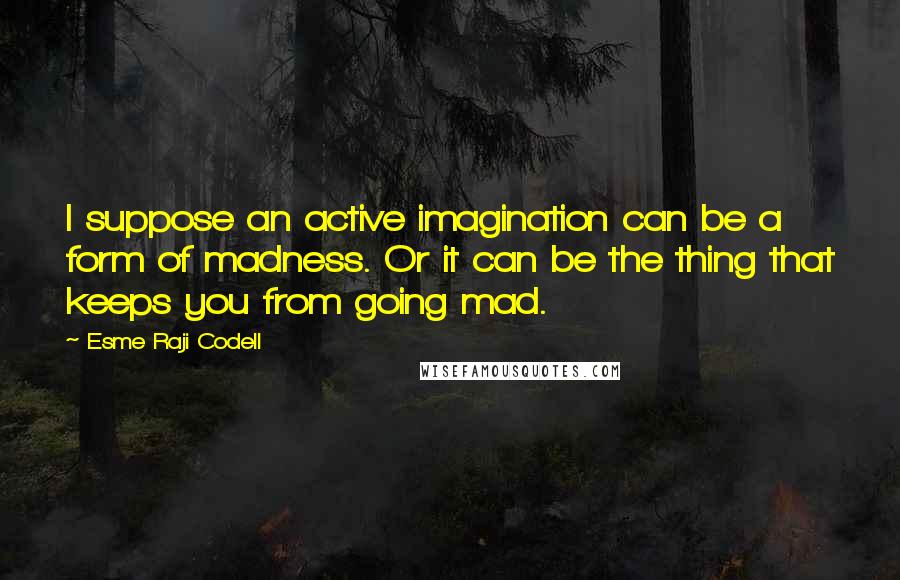 Esme Raji Codell Quotes: I suppose an active imagination can be a form of madness. Or it can be the thing that keeps you from going mad.