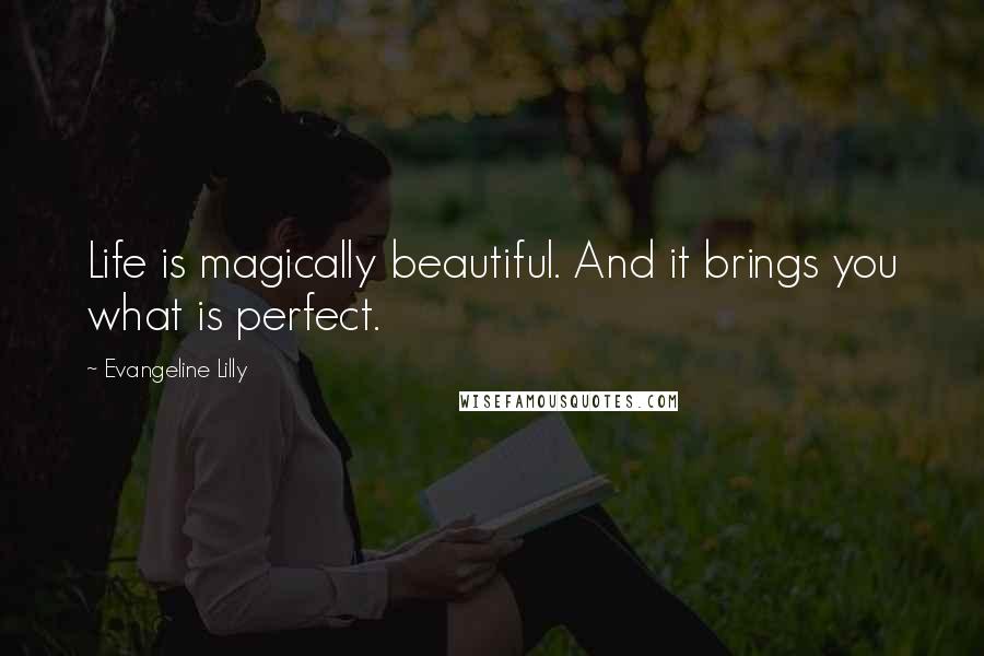 Evangeline Lilly Quotes: Life is magically beautiful. And it brings you what is perfect.