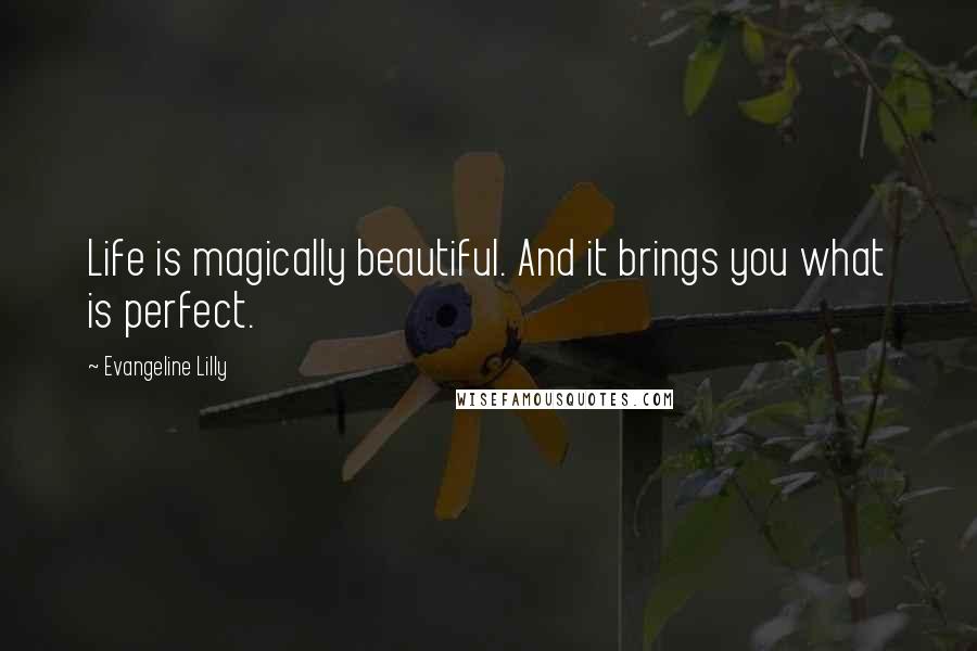 Evangeline Lilly Quotes: Life is magically beautiful. And it brings you what is perfect.