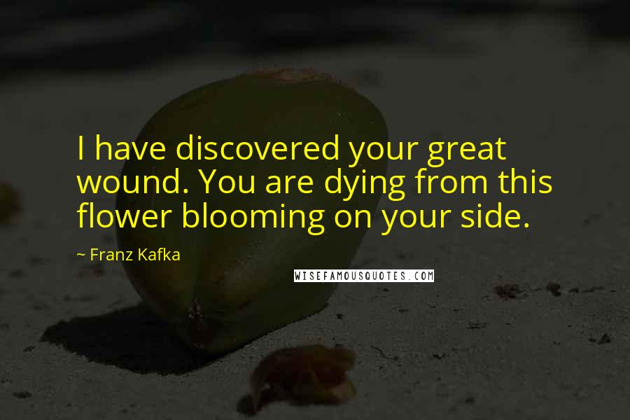 Franz Kafka Quotes: I have discovered your great wound. You are dying from this flower blooming on your side.