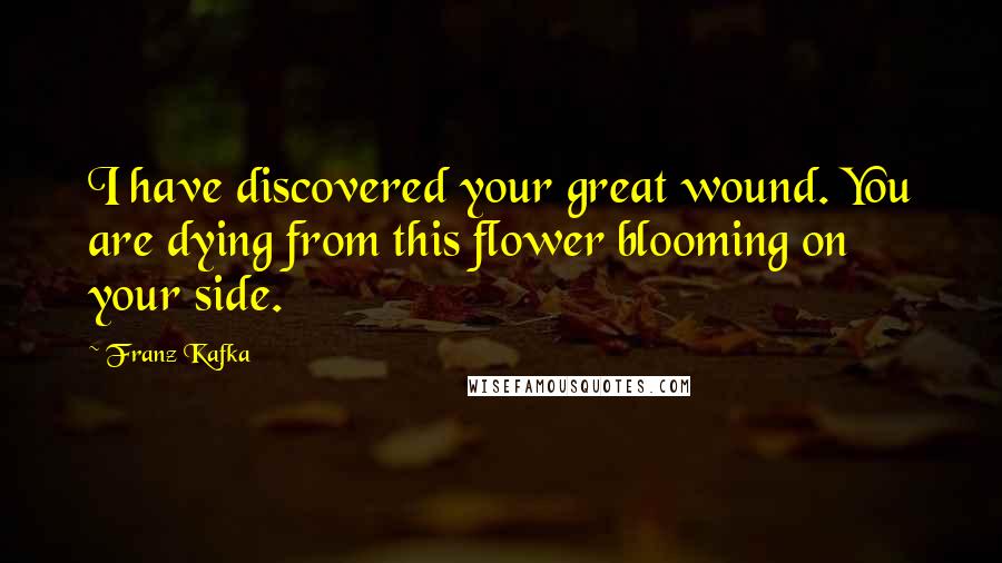 Franz Kafka Quotes: I have discovered your great wound. You are dying from this flower blooming on your side.