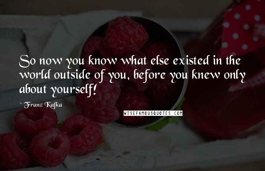 Franz Kafka Quotes: So now you know what else existed in the world outside of you, before you knew only about yourself!