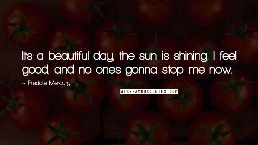 Freddie Mercury Quotes: It's a beautiful day, the sun is shining, I feel good, and no one's gonna stop me now.