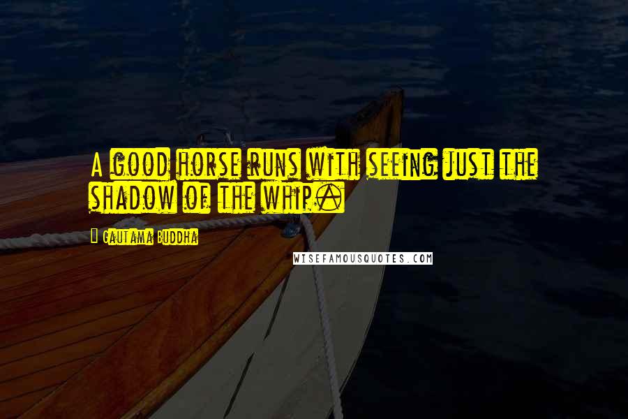 Gautama Buddha Quotes: A good horse runs with seeing just the shadow of the whip.