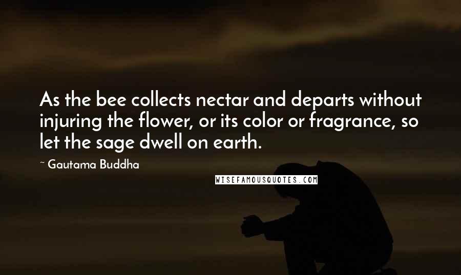 Gautama Buddha Quotes: As the bee collects nectar and departs without injuring the flower, or its color or fragrance, so let the sage dwell on earth.