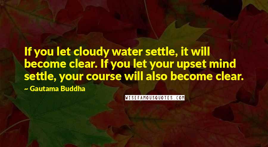 Gautama Buddha Quotes: If you let cloudy water settle, it will become clear. If you let your upset mind settle, your course will also become clear.