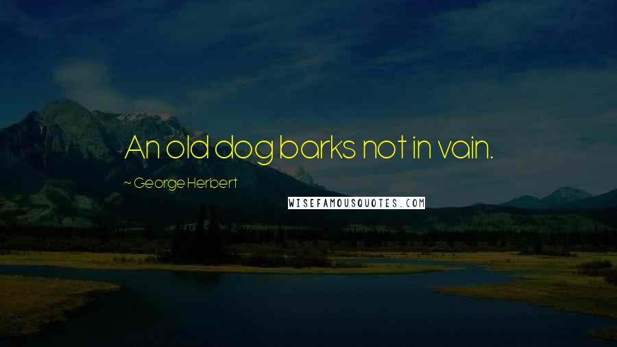 George Herbert Quotes: An old dog barks not in vain.