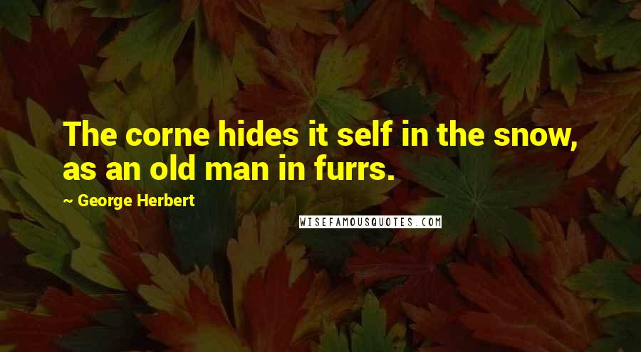 George Herbert Quotes: The corne hides it self in the snow, as an old man in furrs.