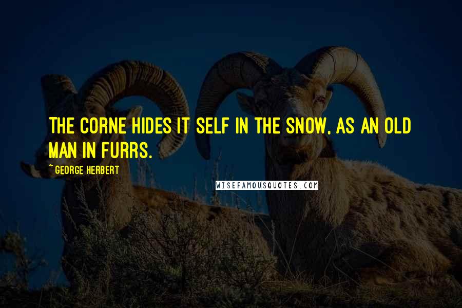 George Herbert Quotes: The corne hides it self in the snow, as an old man in furrs.