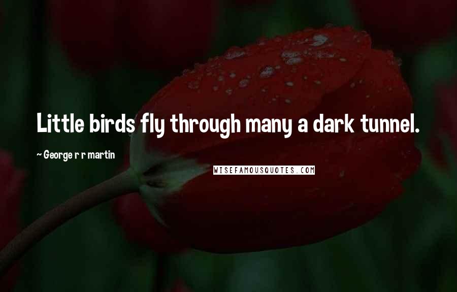 George R R Martin Quotes: Little birds fly through many a dark tunnel.