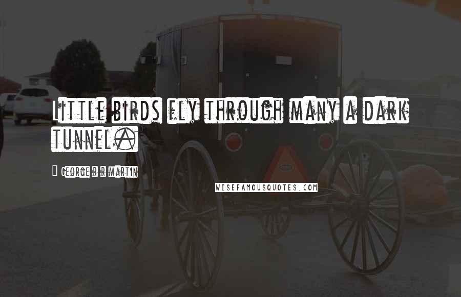 George R R Martin Quotes: Little birds fly through many a dark tunnel.