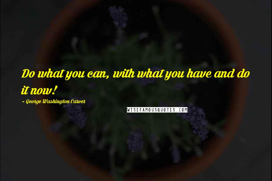 George Washington Carver Quotes: Do what you can, with what you have and do it now!