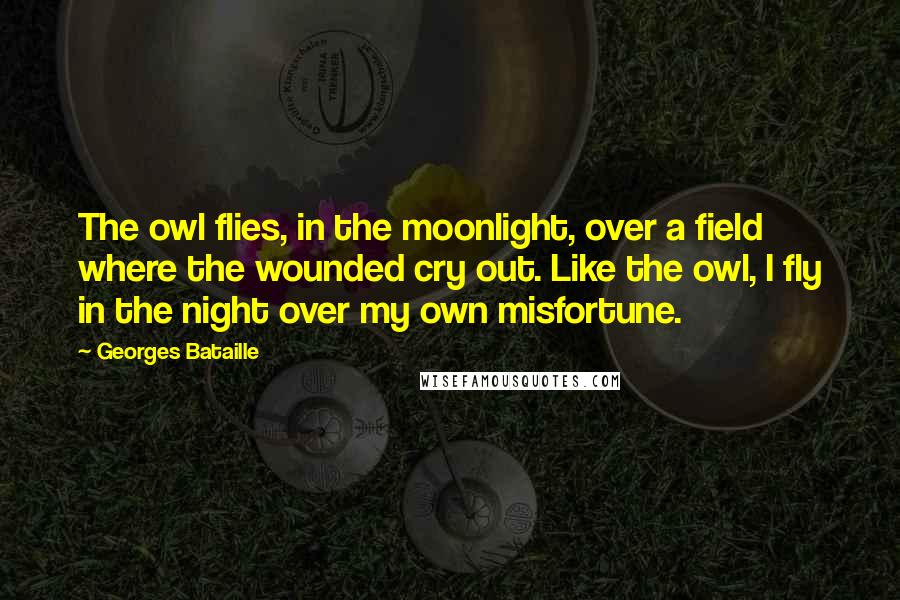 Georges Bataille Quotes: The owl flies, in the moonlight, over a field where the wounded cry out. Like the owl, I fly in the night over my own misfortune.