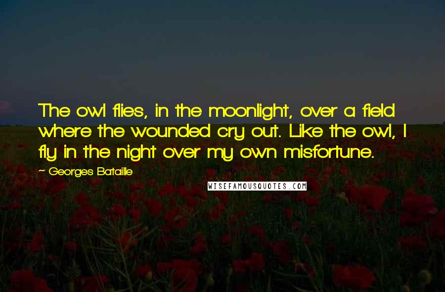 Georges Bataille Quotes: The owl flies, in the moonlight, over a field where the wounded cry out. Like the owl, I fly in the night over my own misfortune.