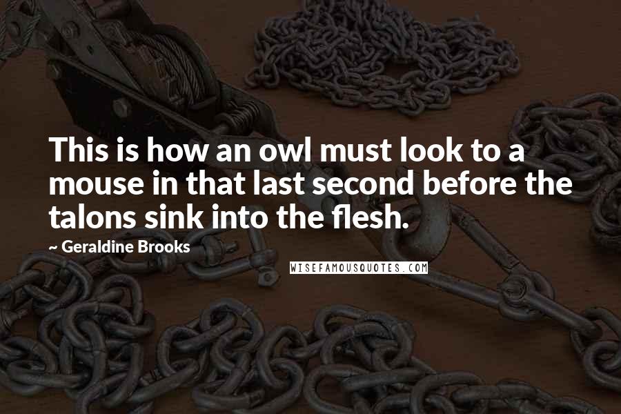 Geraldine Brooks Quotes: This is how an owl must look to a mouse in that last second before the talons sink into the flesh.