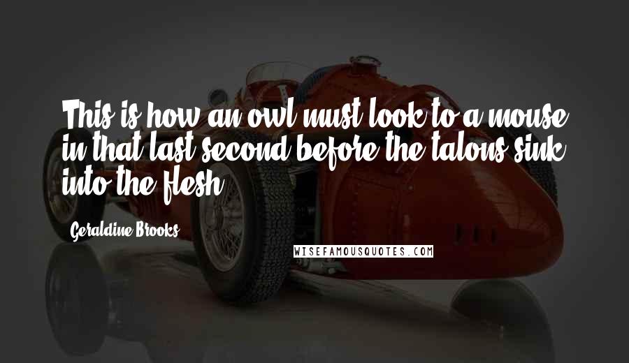 Geraldine Brooks Quotes: This is how an owl must look to a mouse in that last second before the talons sink into the flesh.