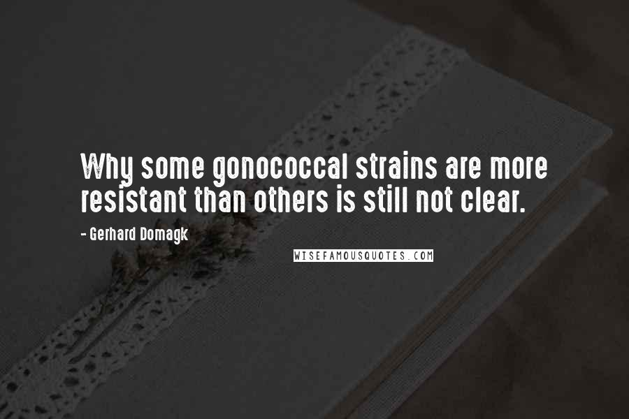 Gerhard Domagk Quotes: Why some gonococcal strains are more resistant than others is still not clear.