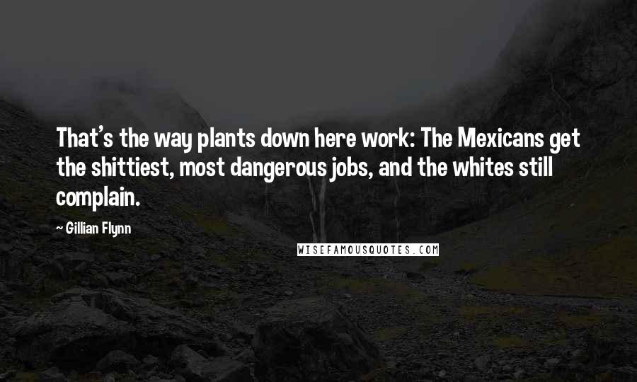 Gillian Flynn Quotes: That's the way plants down here work: The Mexicans get the shittiest, most dangerous jobs, and the whites still complain.