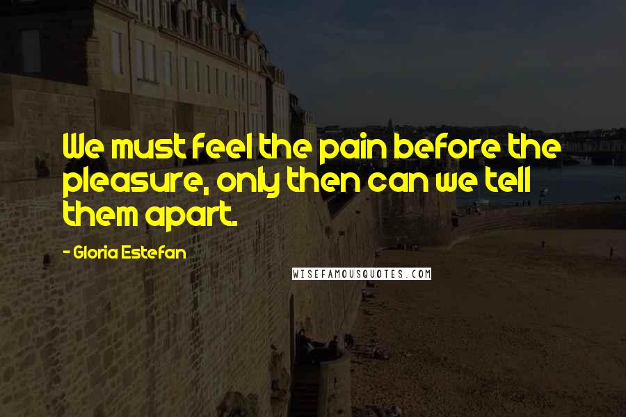 Gloria Estefan Quotes: We must feel the pain before the pleasure, only then can we tell them apart.