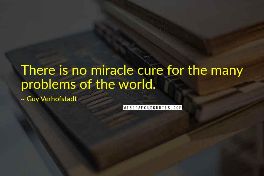 Guy Verhofstadt Quotes: There is no miracle cure for the many problems of the world.