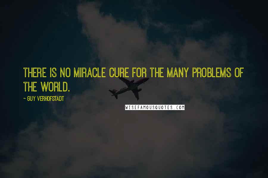 Guy Verhofstadt Quotes: There is no miracle cure for the many problems of the world.