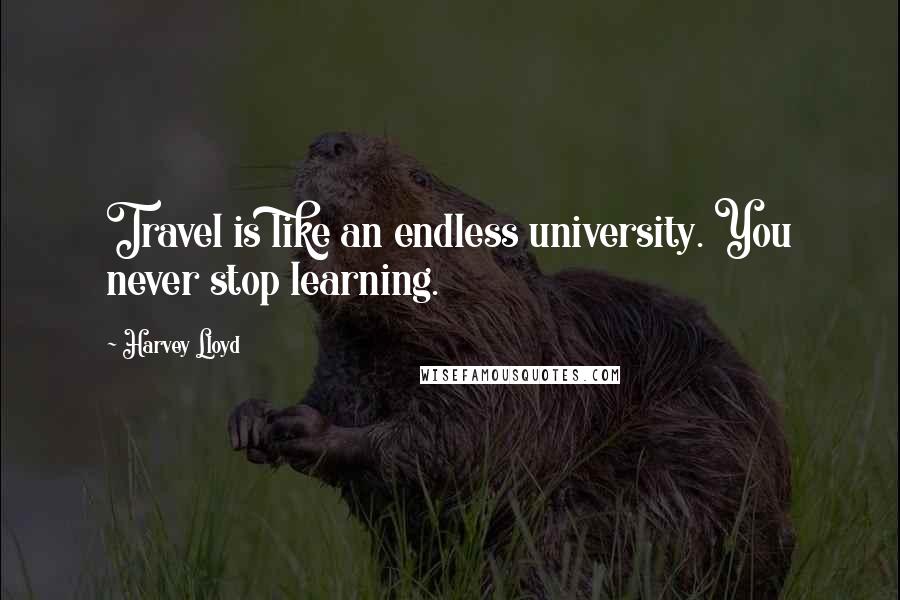 Harvey Lloyd Quotes: Travel is like an endless university. You never stop learning.