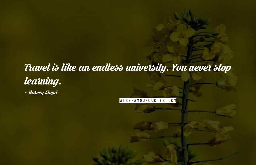 Harvey Lloyd Quotes: Travel is like an endless university. You never stop learning.