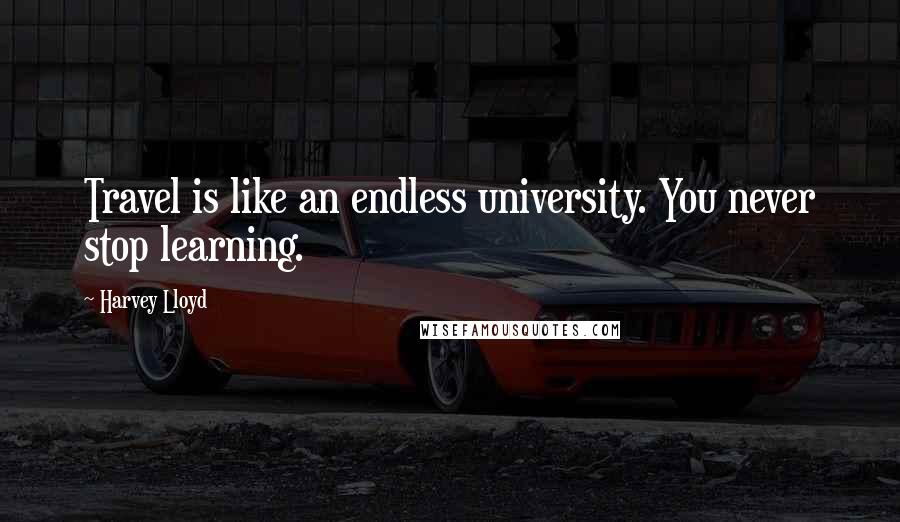 Harvey Lloyd Quotes: Travel is like an endless university. You never stop learning.