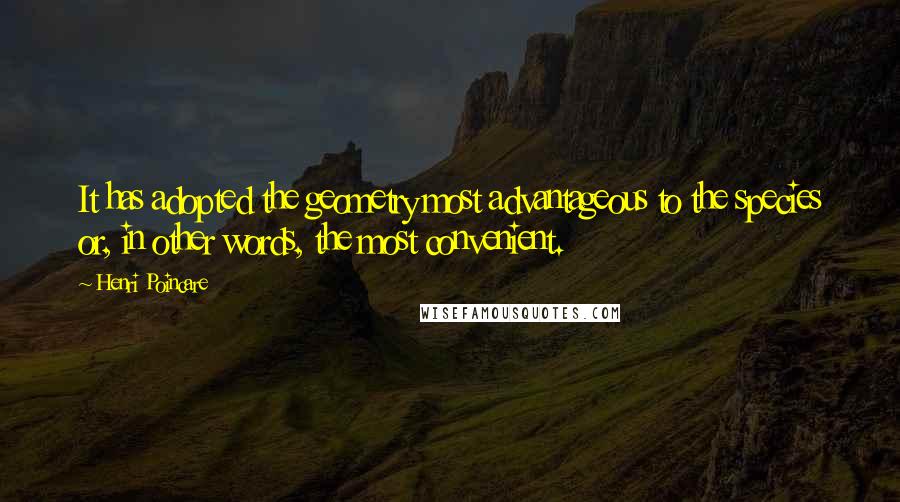 Henri Poincare Quotes: It has adopted the geometry most advantageous to the species or, in other words, the most convenient.