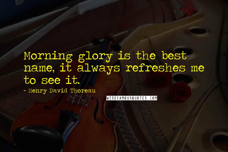 Henry David Thoreau Quotes: Morning glory is the best name, it always refreshes me to see it.