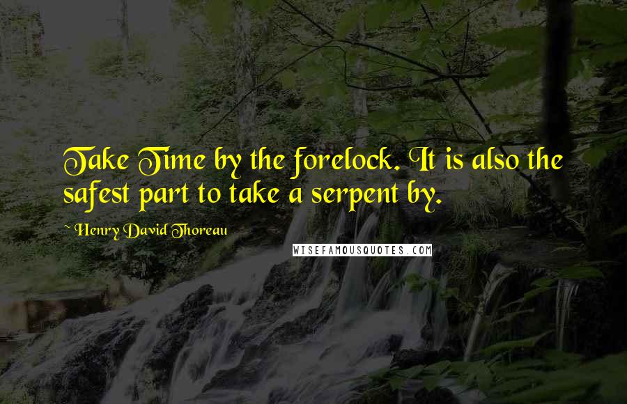 Henry David Thoreau Quotes: Take Time by the forelock. It is also the safest part to take a serpent by.