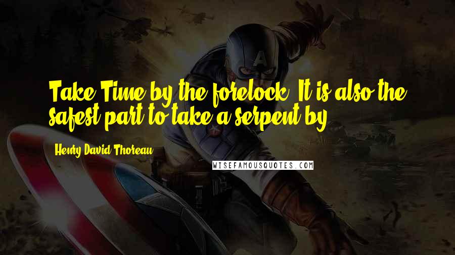 Henry David Thoreau Quotes: Take Time by the forelock. It is also the safest part to take a serpent by.