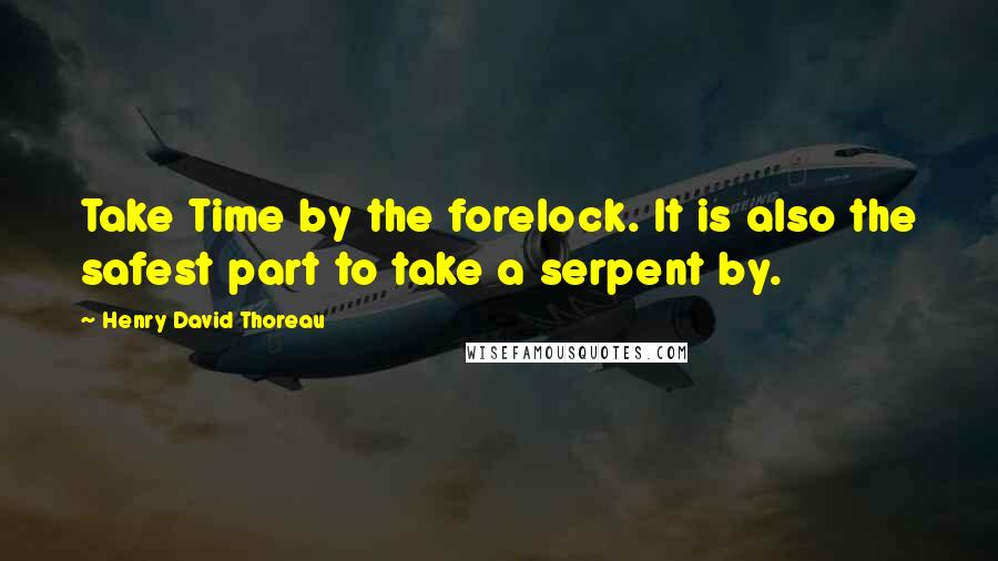 Henry David Thoreau Quotes: Take Time by the forelock. It is also the safest part to take a serpent by.