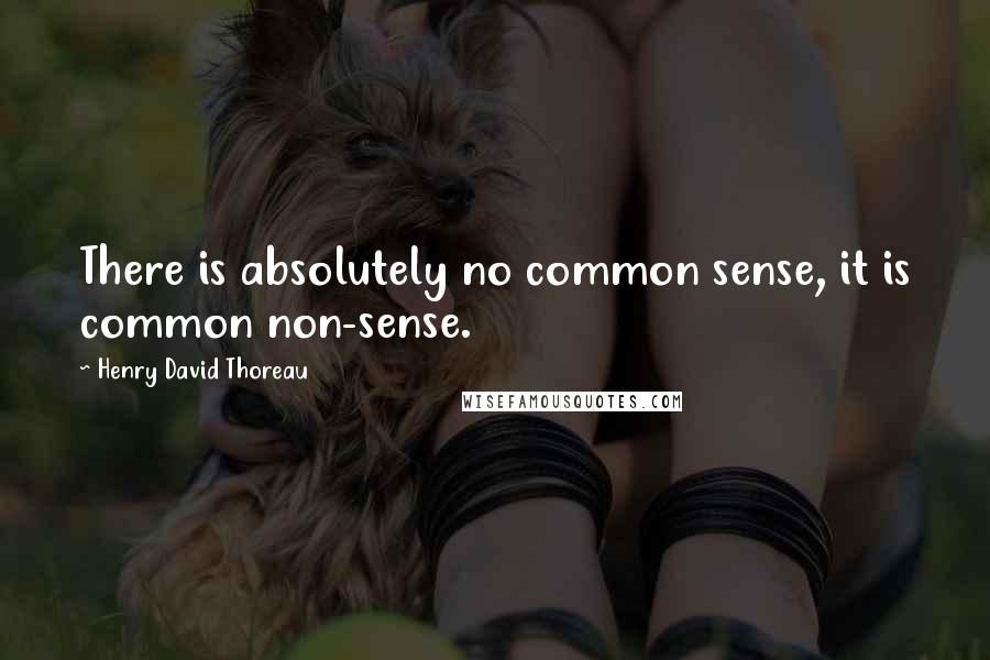 Henry David Thoreau Quotes: There is absolutely no common sense, it is common non-sense.